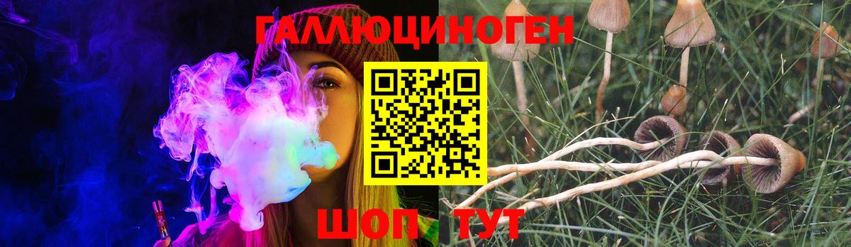 Галлюциногенные грибы Cubensis  Псилоцибиновые грибы MAGIC MUSHROOMS  Улан-Удэ  Вход с VPN 